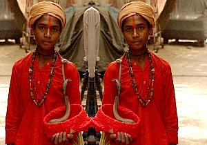 Indiasnakemirror2